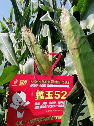 蠡玉52改小.jpg
