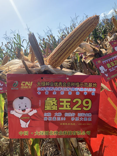 蠡玉29改小1.jpg 蠡玉29改小1.jpg