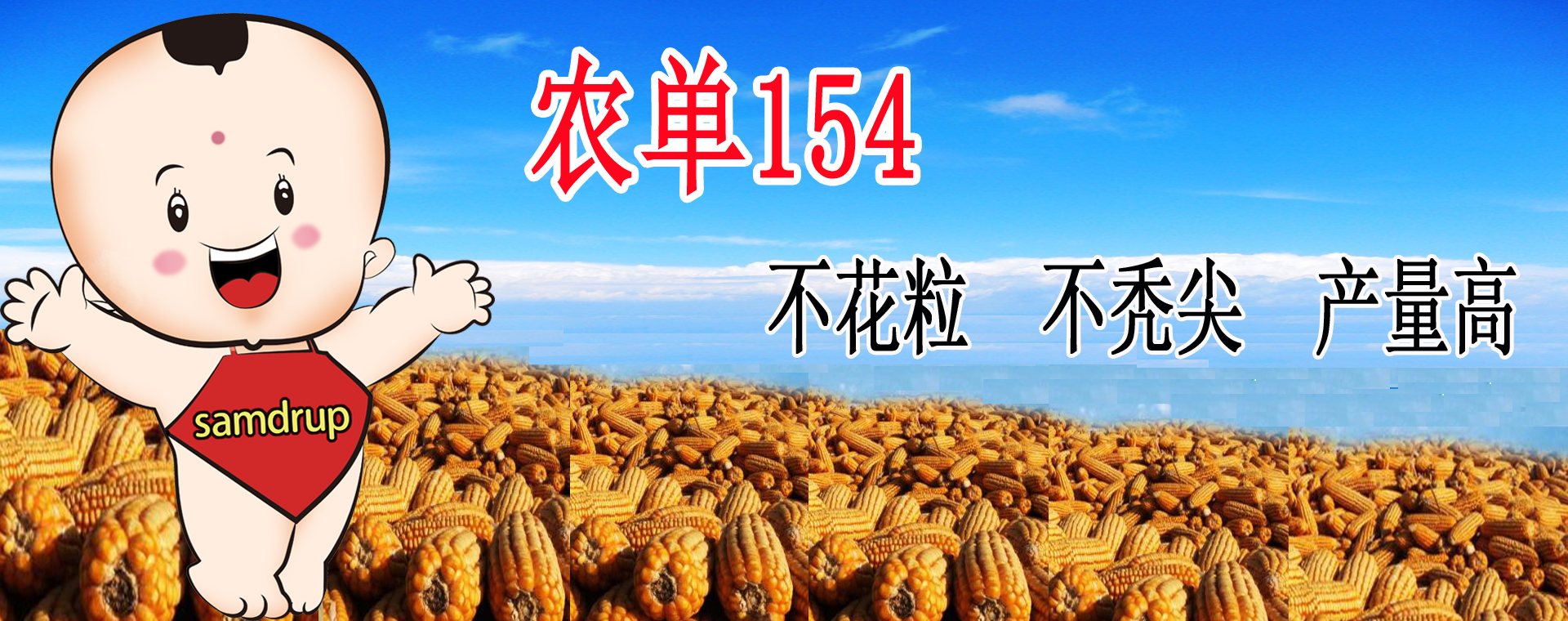 小麥種子